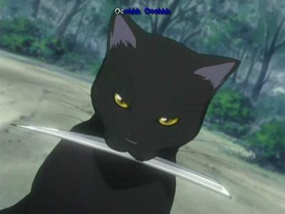 Hihouin Yoruichi